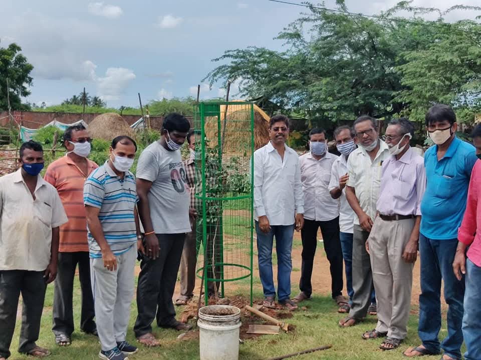 జేడీ ఫౌండేషన్ విశాఖపట్నం ఆధ్వర్యంలో ఆరు సంవత్సరాల క్రితం స్థానిక కొత్తపాలెం జిల్లా పరిషత్ ఉన్నత పాఠశాల ఆవరణలో వేసిన మొక్కలు