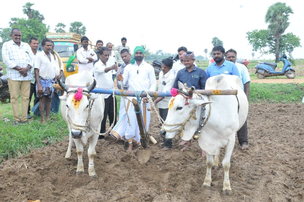 చింతలపూడిలో ఏరువాక పున్నమి వేడుకలు