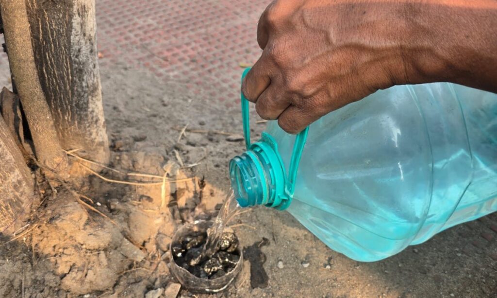 మొక్కలకు నీటి సంరక్షణ ఏర్పాటు